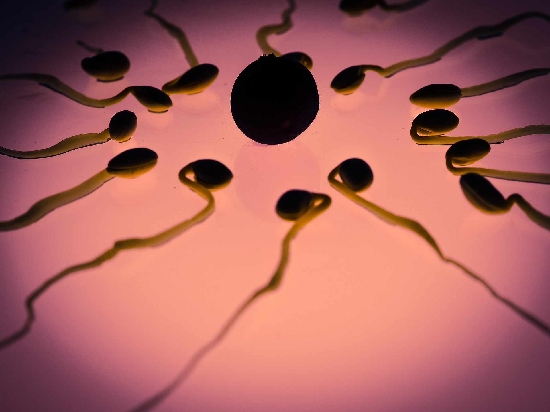 Read more about the article 5 Everyday Foods that are Killing your Sperm (causing Male Infertility)